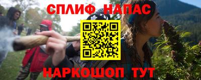 PSILOCYBIN Гатчина