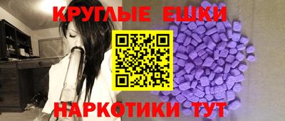 PSILOCYBIN Гатчина