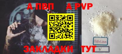 PSILOCYBIN Гатчина
