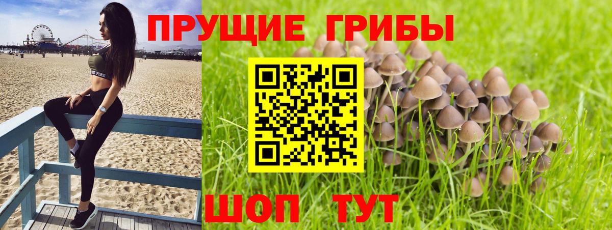 Галлюциногенные грибы Magic Shrooms  Вход с VPN  Галлюциногенные грибы прущие грибы  Гагарин 